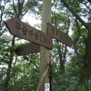 고라니봉 이미지