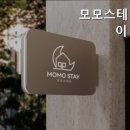 스테이모모 네이버블로그
