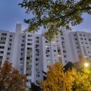 목동동로(동측) 이미지