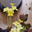 회현펜션 이미지