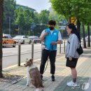 우리강아지 이미지
