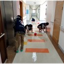 한국전력공사영주지점
