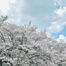 GR(임실군)-[강운로]-상-1 | [🎍담양/🧀임실] 1박 2일 가족여행 (일정/관광지/식당)