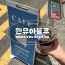 왠유아블루