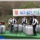 백운면 벚꽃길 이미지