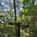제202회차 7월 4일 정기산행 내변산 이미지