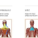 미옥에스테틱