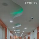 언제나봄 - 정읍시 마곡로 110-14 | 언제나봄