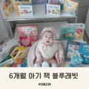 블루일 | 6개월 아기 책 블루래빗 두뇌발달 소전집 후기