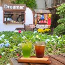 [베트남] 다낭 분위기 좋은 카페 2월 수국, 드리머(Dreamer)