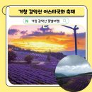 (주)제일풍력 | 거창 감악산 꽃별여행 아스타국화 축제 주차 별바람 언덕 풍력단지
