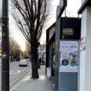 일구칠사