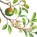 오늘부터 작가 이미지