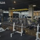 원퍼센트피트니스 이미지