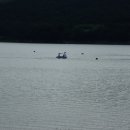 보문호반길 이미지