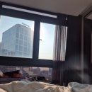 고래수 | 26년 사월의 호찌민시티 (2)