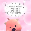 제주도 스노클링 포인트 추천 🩵 (돈내코원앙폭포, 코난 비치, 월령 해변)