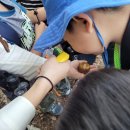 운산제 이미지