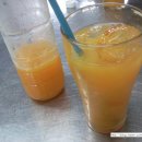 여우헤어클럽