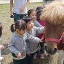 진흥축산 이미지