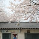 호남이발관 이미지