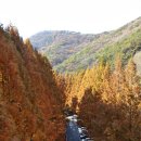 장태산 자연 휴양림 이미지