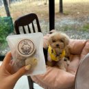 멍뭉냠 | [멍뭉냠] 강아지케이크, 수제간식 내돈내산 후기