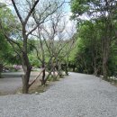 캠핑어클락 이미지