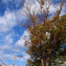 개천초등학교 이미지