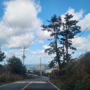 우리가축 인공수정 이미지