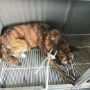 바랑골길 이미지