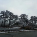 안성면100 이미지