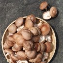 은골농장 이미지