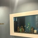 혁신4로R | 대구 혁신도시 아즈나테라피 아로마 마사지 후기 (수기마사지 추천) 🌱