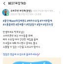 용인대 Best최강 태권도장 네이버블로그