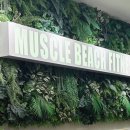 MUSCLE GYM(머슬짐) 이미지