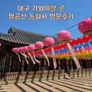 대구 가봐야할 곳 팔공산 동화사 산책 나들이 후기