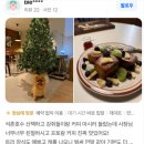 몽코지 | 분위기를 큐레이션하는 카페 제이투제이의 두번째 이야기, 운영편