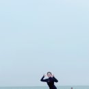 표선856