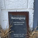 통영교통 | 통영 산양읍 카페 배양장 필수 여행코스 내돈내산 후기