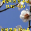 주원항공여행사 이미지