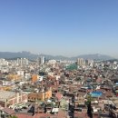 쉐르빌꽃 네이버블로그