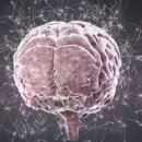 의사가 소개하는 단월드 뇌파진동 명상 효과 이미지