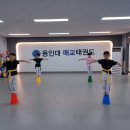 용인대방교태권도장 | 용인 대매교태권도장 매교 태권도장 최고!