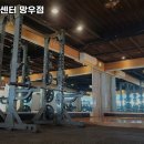 비바휘트니스 이미지
