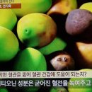 연자육 먹는법 (차, 밥, 가루) 이미지