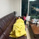 2025.5 연말정산