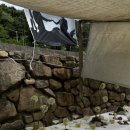 수수밀소