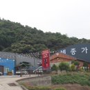세종웰빙케어