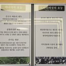 맛도리 볶음밥과 얼큰한 버섯 샤브&amp;칼국수가 있는 등촌샤브 칼국수 안성점 후기